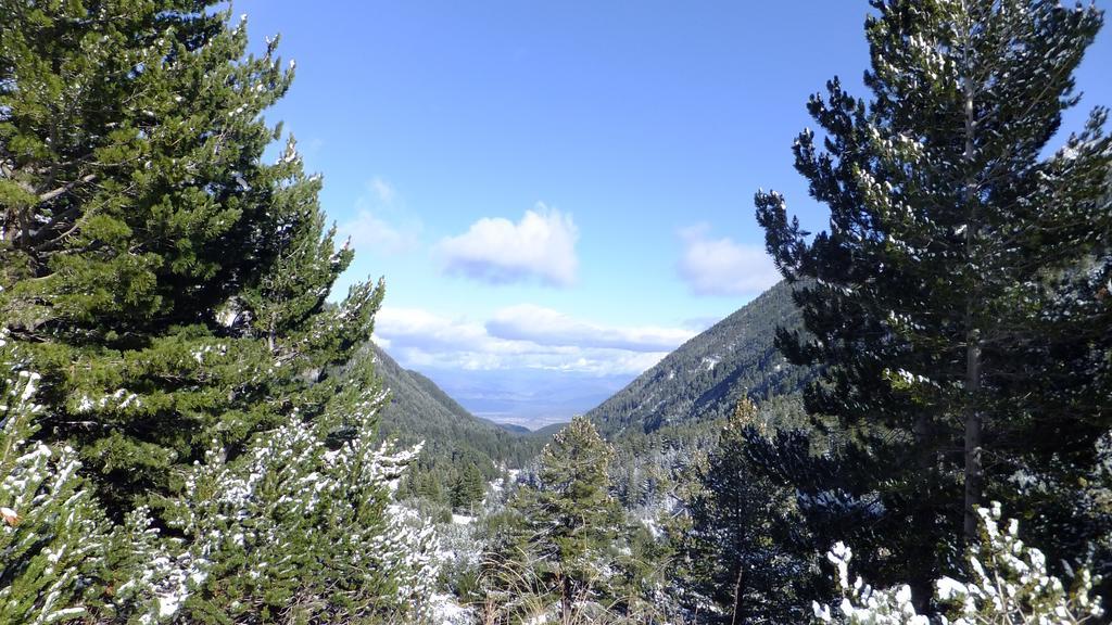 Bansko Prespa Ski Penthouse الغرفة الصورة